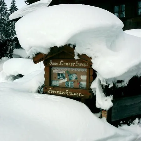 Fellhorn *